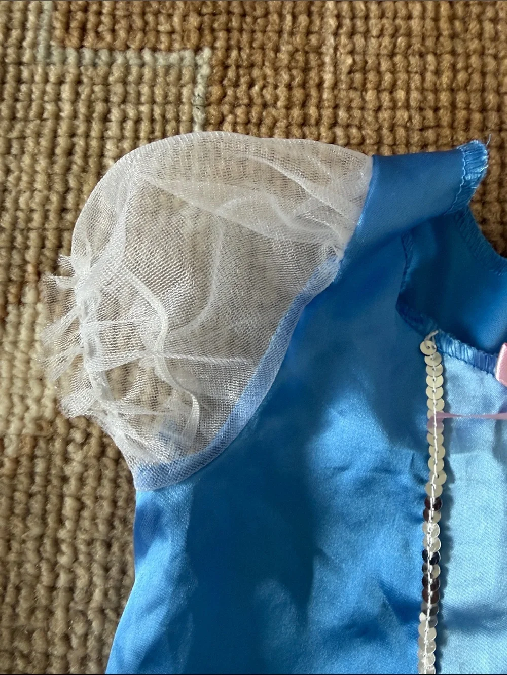 Cinderella Two Piece Costume